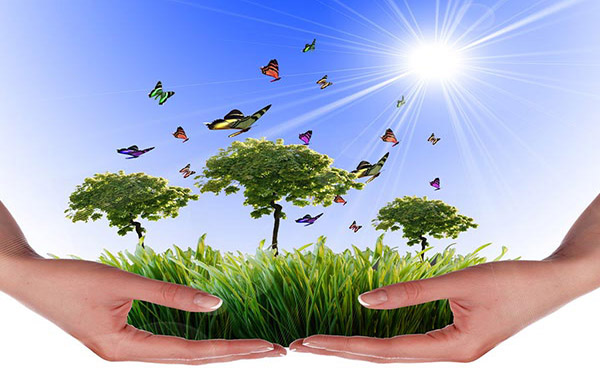 蒸汽污泥烘干機(jī)多久進(jìn)行一次維護(hù)比較好 蒸汽污泥烘干機(jī)多久進(jìn)行一次維護(hù)比較好